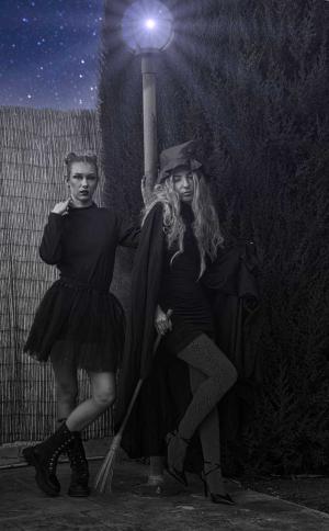 Auteur fotograaf FredVN - 
Bestandsdatum : 10-11-2025