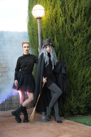 Auteur fotograaf FredVN - 
Bestandsdatum : 10-11-2025