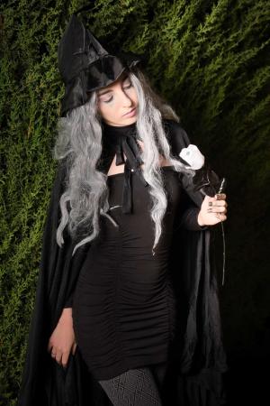 Auteur fotograaf FredVN - 
Bestandsdatum : 10-11-2025