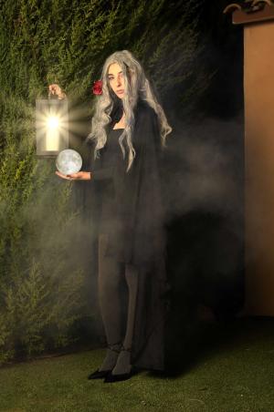 Auteur fotograaf FredVN - 
Bestandsdatum : 10-11-2025