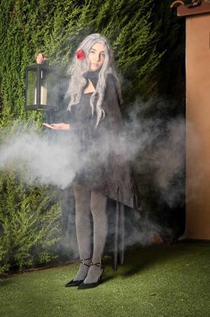 Auteur fotograaf FredVN - 
Bestandsdatum : 10-11-2025