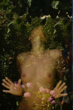 Auteur fotograaf W v d Graaff - 
Fotodatum : 03-07-2025