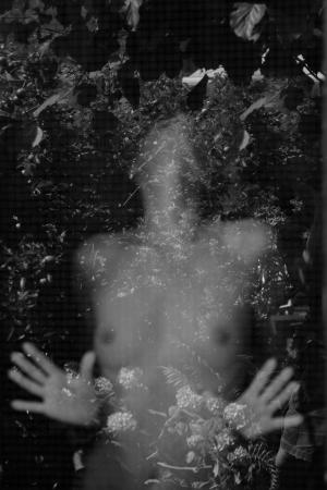 Auteur fotograaf W v d Graaff - 
Fotodatum : 03-07-2025