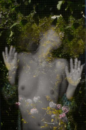 Auteur fotograaf W v d Graaff - 
Fotodatum : 03-07-2025