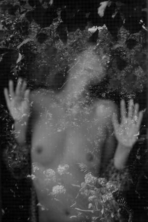 Auteur fotograaf W v d Graaff - 
Fotodatum : 03-07-2025