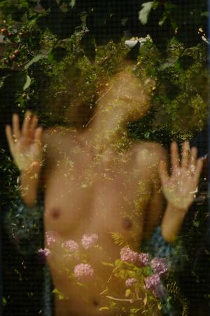 Auteur fotograaf W v d Graaff - 
Fotodatum : 03-07-2025