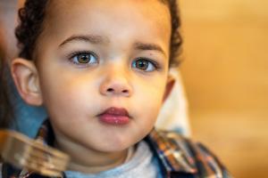 Auteur fotograaf Tom_LHoyes - 
Copyright : ClickArt

Camera : ClickArt
Fotodatum : 22-03-2023