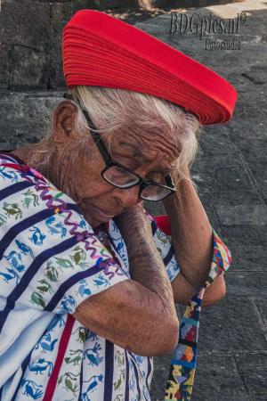 Auteur fotograaf BDGpics - 
Artiest : J.F.Bouwman
Copyright : BDGpics

Camera : SONY DSC-RX10M4
Fotodatum : 01-02-2025