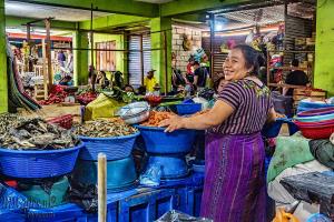 Auteur fotograaf BDGpics - 
Artiest : J.F.Bouwman
Copyright : BDGpics

Camera : SONY DSC-RX10M4
Fotodatum : 01-02-2025