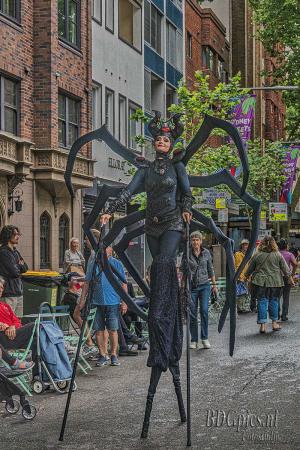 Auteur fotograaf BDGpics - 
Artiest : J.F.Bouwman
Copyright : BDGpics

Camera : SONY DSC-RX10M4
Fotodatum : 01-11-2025