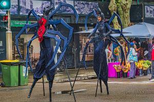 Auteur fotograaf BDGpics - 
Artiest : J.F.Bouwman
Copyright : BDGpics

Camera : SONY DSC-RX10M4
Fotodatum : 01-11-2025