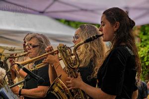 Auteur fotograaf BDGpics - 
Artiest : J.F.Bouwman
Copyright : BDGpics

Camera : SONY DSC-RX10M4
Fotodatum : 01-11-2025