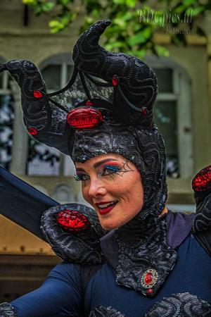 Auteur fotograaf BDGpics - 
Artiest : J.F.Bouwman
Copyright : BDGpics

Camera : SONY DSC-RX10M4
Fotodatum : 01-11-2025