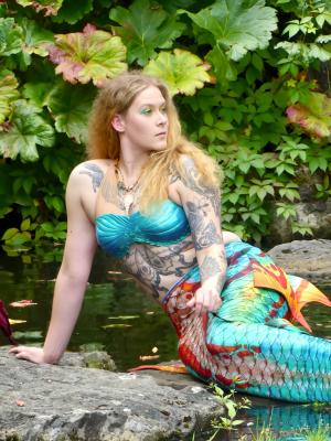 Auteur fotograaf Danny,S - 

Camera : Panasonic DMC-FZ300
Fotodatum : 20-09-2025