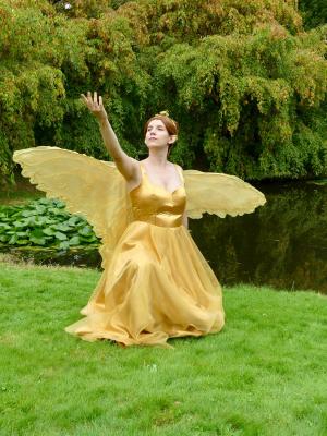 Auteur fotograaf Danny,S - 

Camera : Panasonic DMC-FZ300
Fotodatum : 20-09-2025