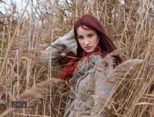 Auteur fotograaf LMFX - Herfst