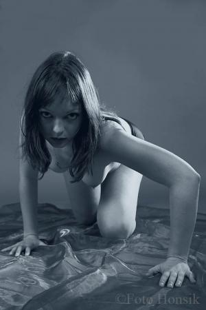 Auteur fotograaf Foto Honsik - 
Bestandsdatum : 08-11-2016