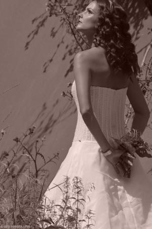 Auteur fotograaf Christian Hoogland - 
Bestandsdatum : 08-11-2016