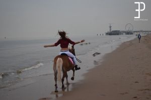Auteur fotograaf Jan - Fotoshoot met paard op Scheveningen strand