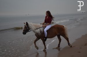 Auteur fotograaf Jan - Fotoshoot met paard op Scheveningen strand