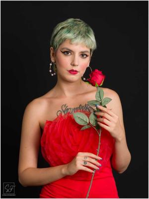 Auteur fotograaf Stefan Fotografeert - 
Bestandsdatum : 03-08-2025