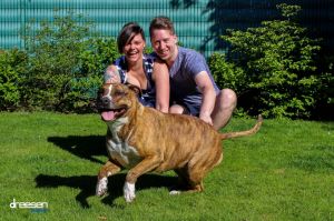 Auteur fotograaf Dreesen Fotografie - 
Bestandsdatum : 13-05-2019