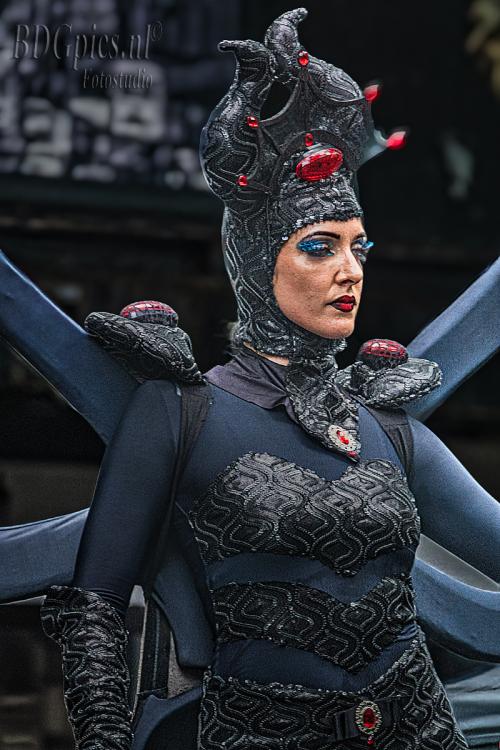 Auteur fotograaf BDGpics - 