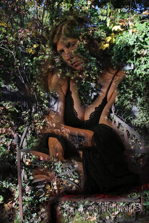 Auteur fotograaf BDGpics - 