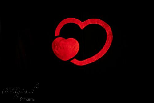 Auteur fotograaf BDGpics - Achtergrond