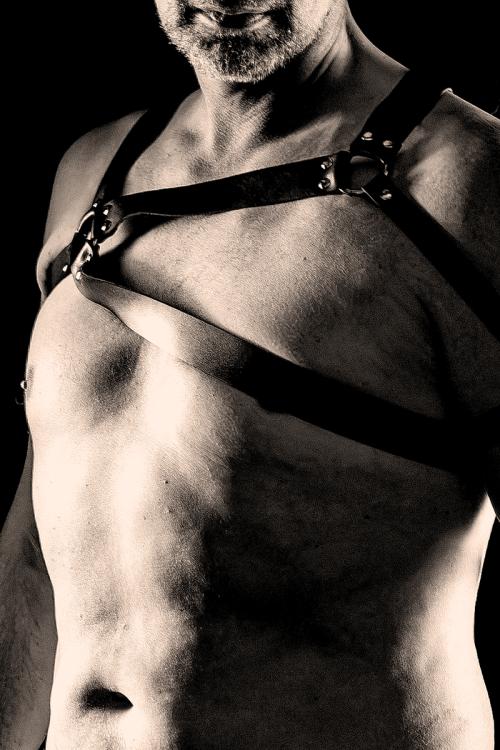 Auteur fotograaf BDGpics - 