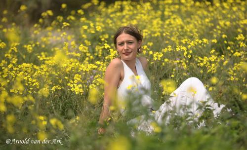 Auteur fotograaf Arnold van der Ark - #flowers#
