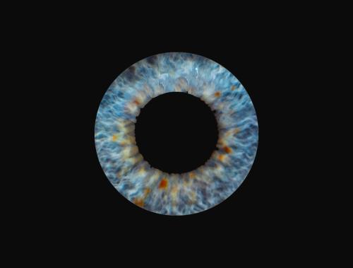 Auteur fotograaf Ultramarine2022 - Iris Nastya 2023