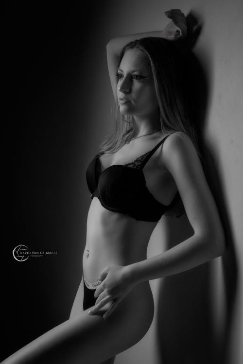 Auteur fotograaf dvdmphotography - 