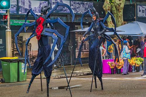 Auteur fotograaf BDGpics - 