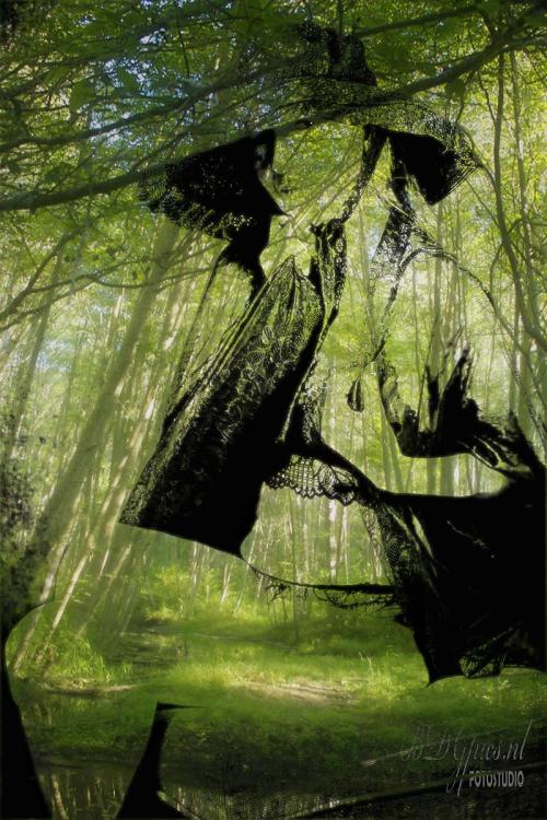 Auteur fotograaf BDGpics - 