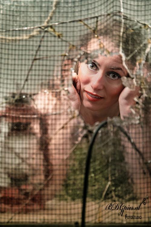 Auteur fotograaf BDGpics - 