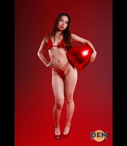 Auteur fotograaf D E Molenaar - 