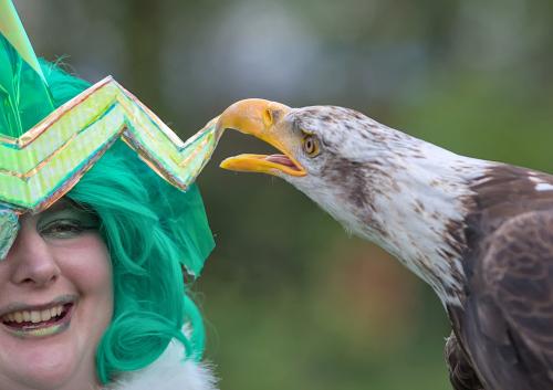 Auteur model Dragempire Emerald  - Foto van de dag bij Fable of fantasy in Emmen 2025 Emerald met arend. Proffesioneel fotografe bij Fable of fantasy in he