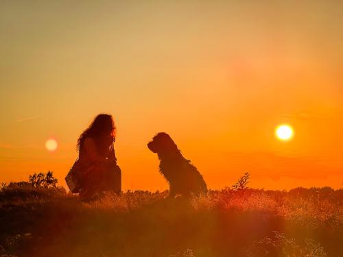 Auteur fotograaf BenjaminPictures - 