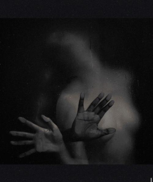 Auteur fotograaf Logan - 