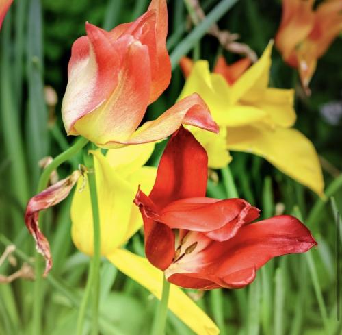 Auteur fotograaf Nickography - 