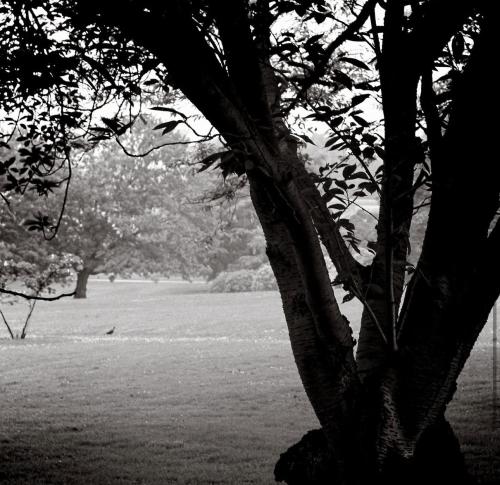 Auteur fotograaf Nickography - 