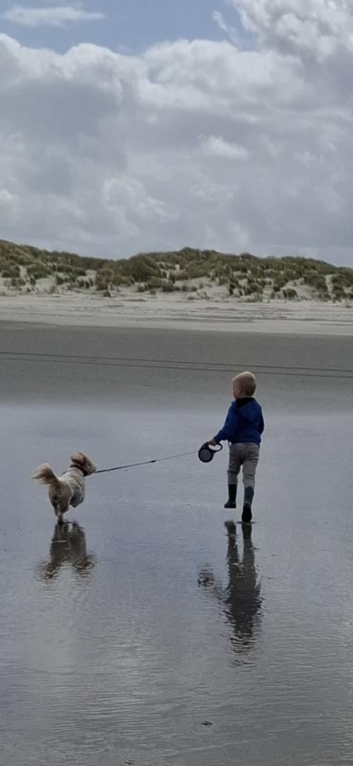 Auteur fotograaf ABfotootje - 