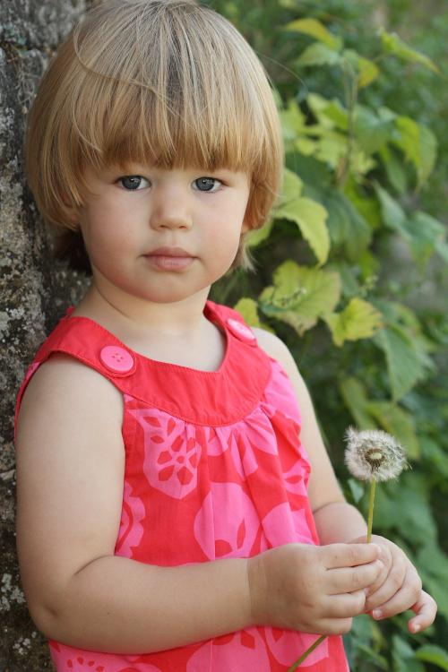 Auteur fotograaf fligic - 