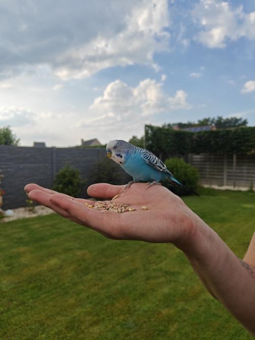 Auteur fotograaf Raffects - 