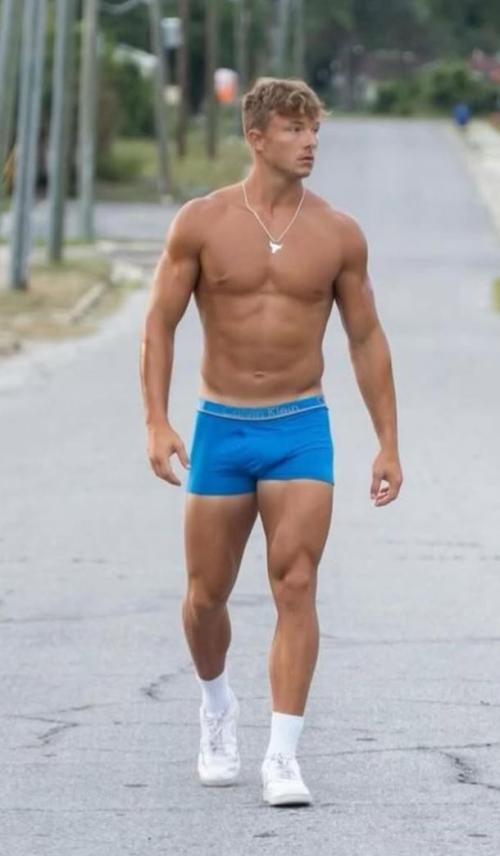 Auteur model maurotrozzipt - 