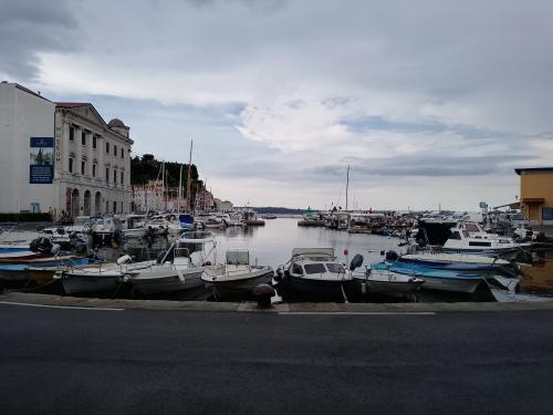 Auteur fotograaf NPXphotography  - 