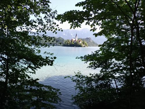 Auteur fotograaf NPXphotography  - 