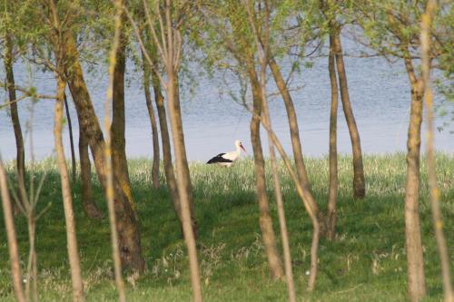 Auteur fotograaf SMADdie86 - Vrij werk Roemenie
