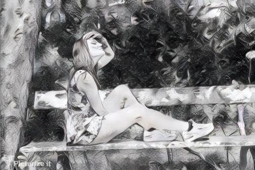 Auteur fotograaf Chrisdc - 